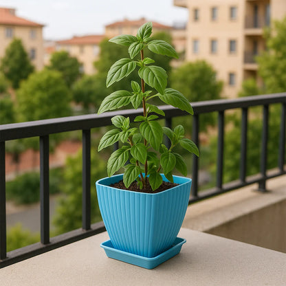 Flower Pots Set of 5