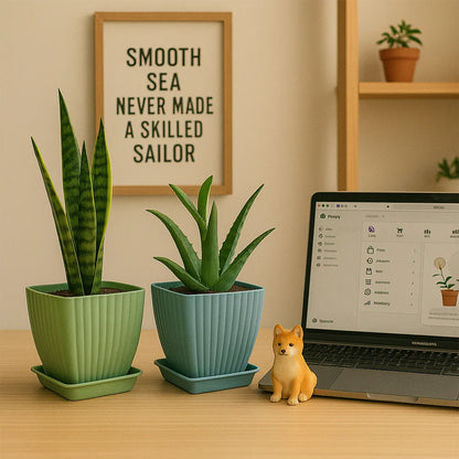 Flower Pots Set of 5